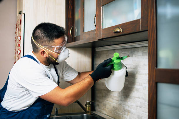 Best Affordable Pest Control Services  in Winfield, TN