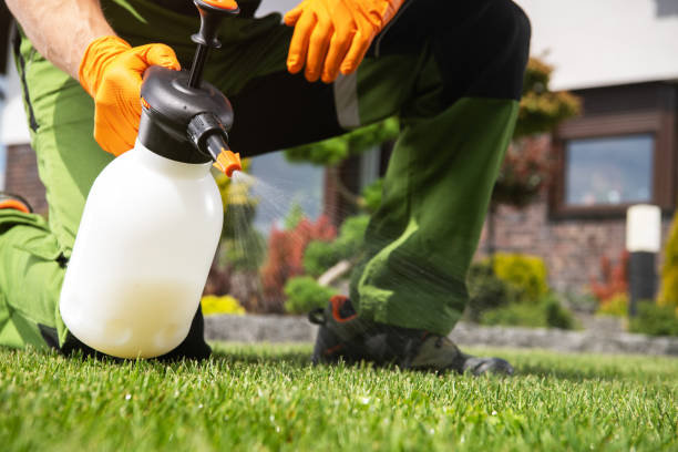 Best Cockroach Control Services  in Winfield, TN