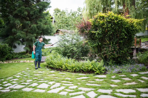 Best Pest Control Near Me  in Winfield, TN