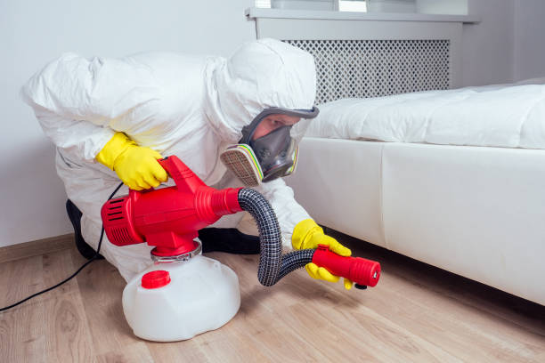 Best Local Pest Control Services  in Winfield, TN