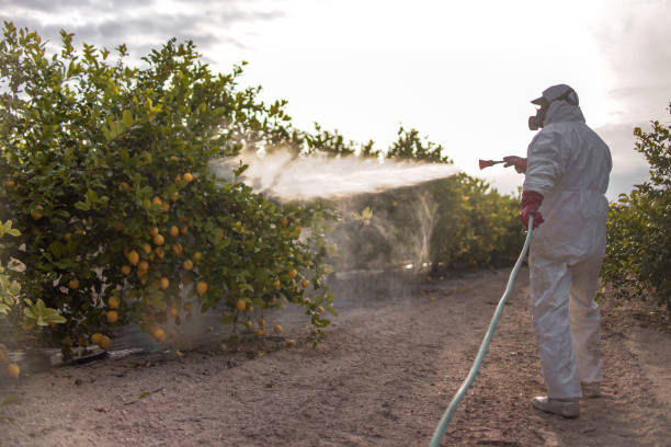 Best Mosquito Control Services  in Winfield, TN