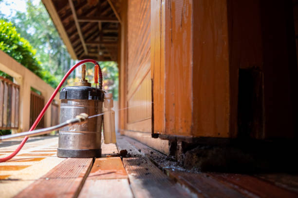 Best Affordable Pest Control Services  in Winfield, TN