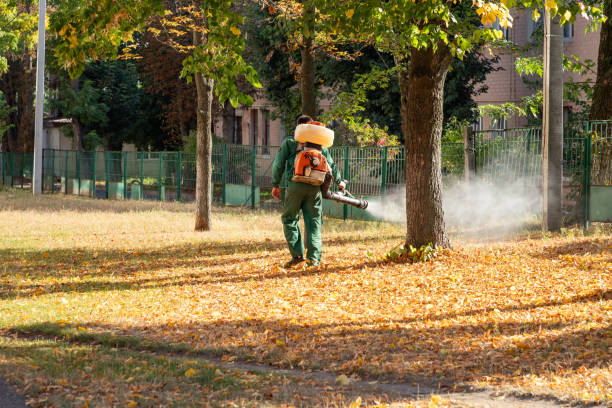 Best Flea Control Services  in Winfield, TN