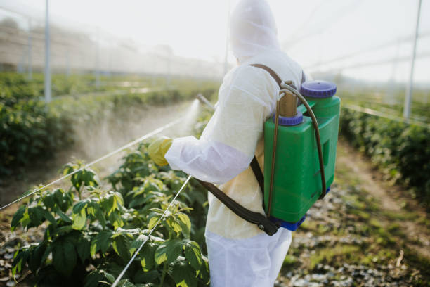 Best Commercial Pest Control Services  in Winfield, TN